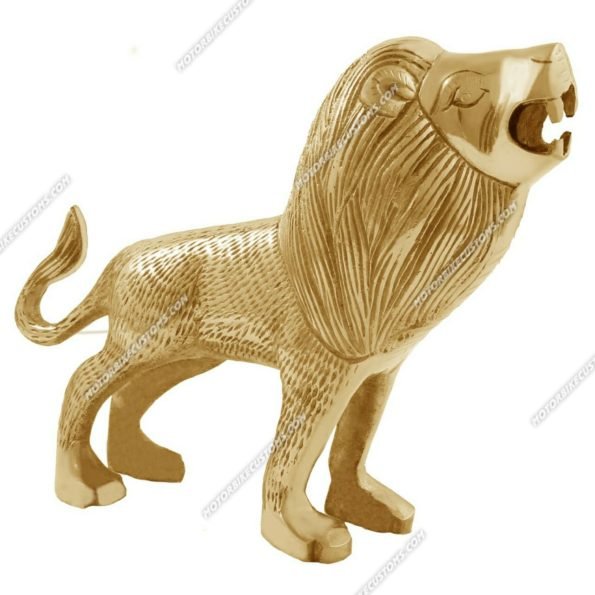 Lion Roaring For Front mudguard (2)