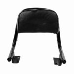 Interceptor & Continental GT 650 Cushion Backrest 1